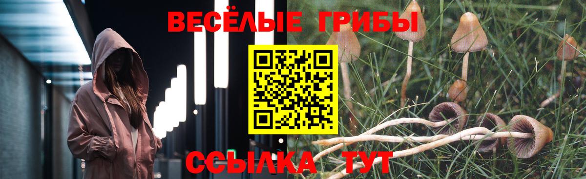 Псилоцибиновые грибы мухоморы  Псилоцибиновые грибы Cubensis  Великие Луки  Вход с VPN 